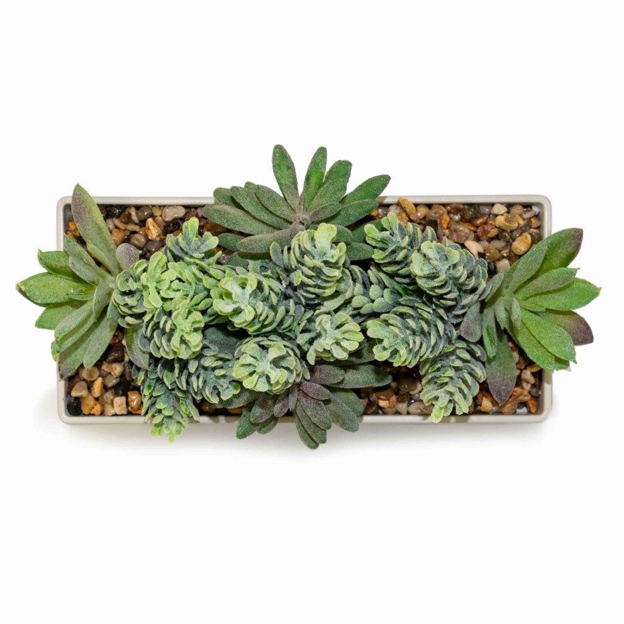 Power Plant Faux Succulent with USB Charging Station and Bluetooth Speaker – Beige (iPP60) - ihomedotcom