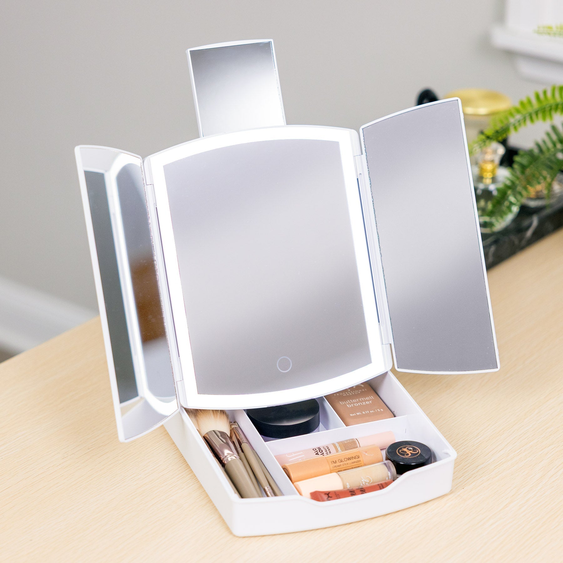 Travel Mirror with Lights and Makeup Organizer (iCVS30) - ihomedotcom