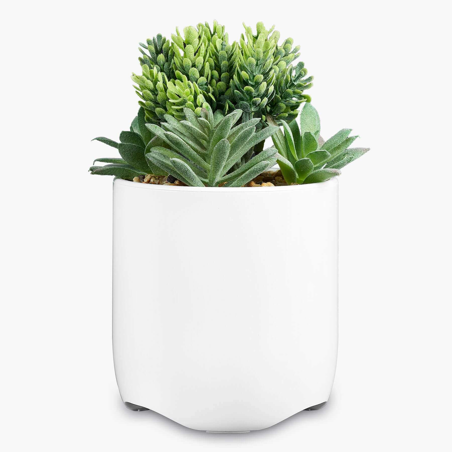 Faux succulent in sleek high gloss white pot with USB charging station for iPhone, Android, and Samsung devices