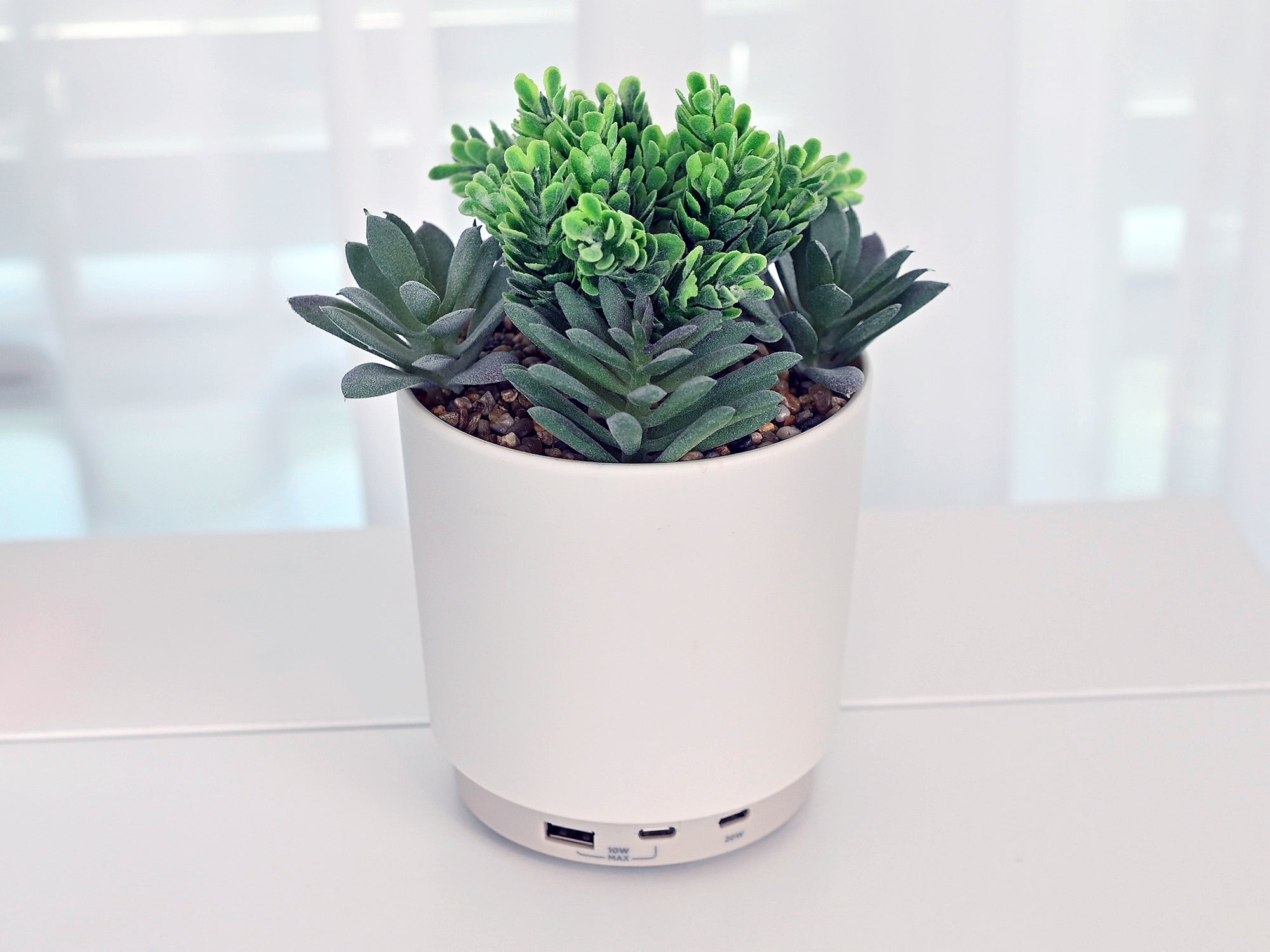 potted succulent dst Timex Alarm Clock with Night Light & USB Ports