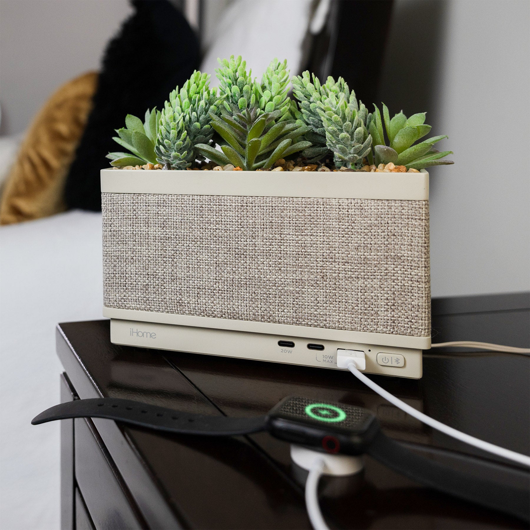 Power Plant Faux Succulent with USB Charging Station and Bluetooth Speaker – Beige (iPP60)